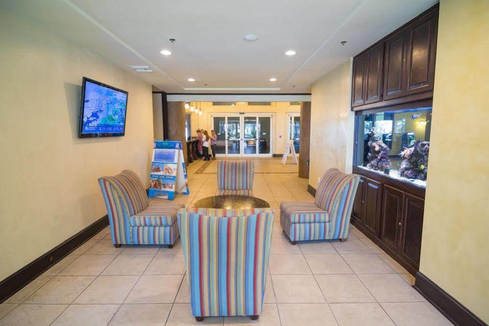 Shores Of Panama By Book That Condo Panama City Beach Exterior photo